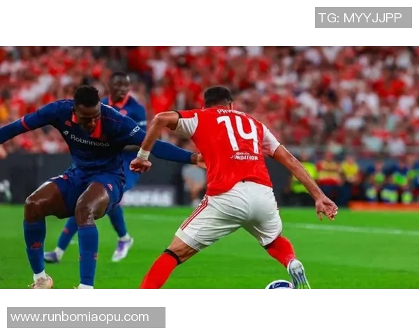 005尼斯与图卢兹的精彩对决谁能在法甲赛场上笑到最后